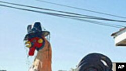 This big bird outside a bakery in East Peoria, Illinois, purports to be the World's Largest Chicken. Not living, of course. We suspect there are other claimants as well