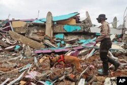 Seorang polisi dengan anjing pelacak mencari korban di sebuah reruntuhan bangunan yang roboh akibat gempa di Mamuju, Sulawesi Barat, Minggu, 17 Januari 2021.