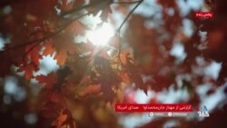 اعتدال پائیزی؛ آغاز رسمی پاییز
