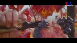 İlk Şarabı Gürcüler mi Üretti?