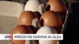 Gripe aviar eleva precios de huevos en EEUU