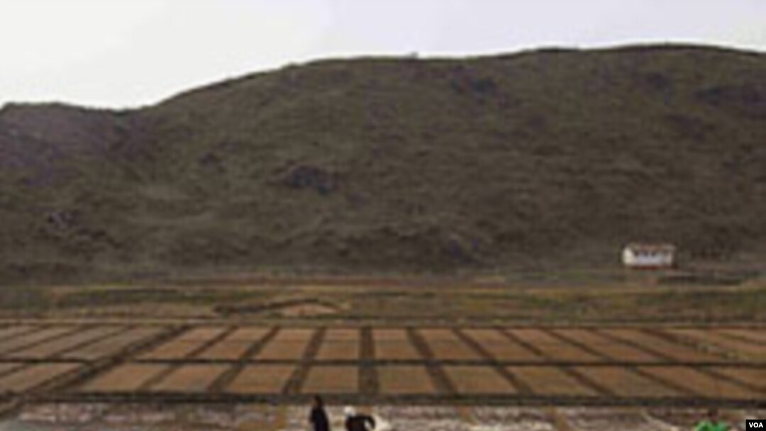 Para petani Korea Utara bekerja di sebuah lahan pertanian di kota Kaesong (foto: dok). 