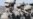 China Expresses Concern Over US Defense Blueprint