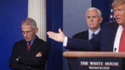 Щоденний брифінг у Білому домі про ситуацію з епідемією коронавірусу. 25 березня 2020