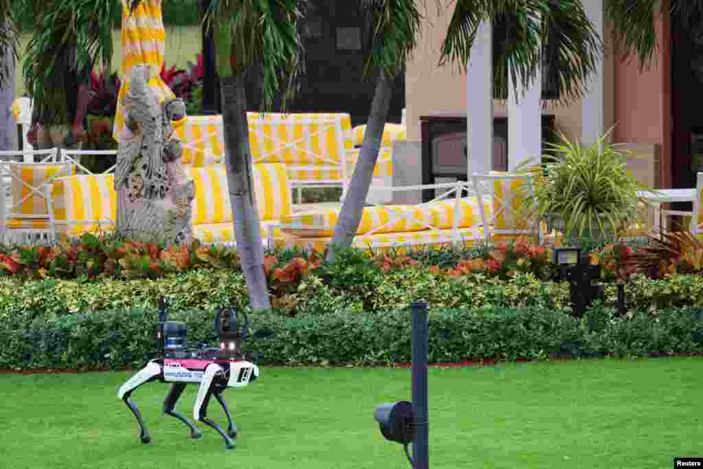 A Secret Service robot canine  patrols the grounds of U.S. President-elect Donald Trump&#39;s residence astatine  Mar-a-Lago successful  Palm Beach, Florida.