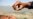 Violence, Insecurity Blocking Polio Eradication in Pakistan