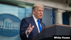 د متحدو ایالتونو ولسمشر دونالډ ټرمپ 