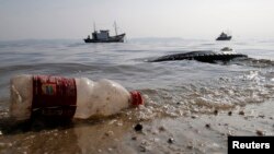 La contaminación con plástico en los océanos eventualmente entra en la cadena alimenticia.