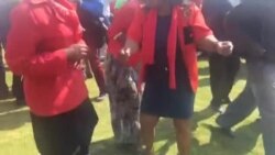 Bayaqolotsha Emhlanganweni weMDC Alliance