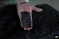 A worker shows a piece of a processed rubber plate taken for sample control at a rubber industrial plant of the cooperative called Cooperacre, in Sena Madureira, Acre state, Brazil, Friday, Dec. 9, 2022. (AP Photo/Eraldo Peres)