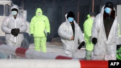 FILE - Veterinary surveillance workers wearing protective suits and masks walk across the yard as they prepare to burn infected birds at a poultry market in Moscow, Feb. 20, 2007. 