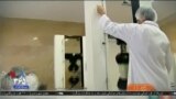 اخبار شبانگاهی