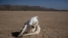 Morocco Faces 6th Consecutive Year of Drought