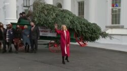 ԱՄՆ առաջին տիկին Ջիլ Բայդենը ընդունել է Սպիտակ տան պաշտոնական տոնածառը և մարդկանց մաղթել «երջանիկ և առողջ տոն»։