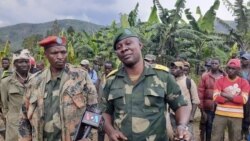 Mokambi ya Nyatura "Général Delta" na babundi ba ye 80 baminzongisi na ba FARDC