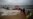 Ocean Shock: Portugal Mourns Sardines' Escape to Cooler Waters