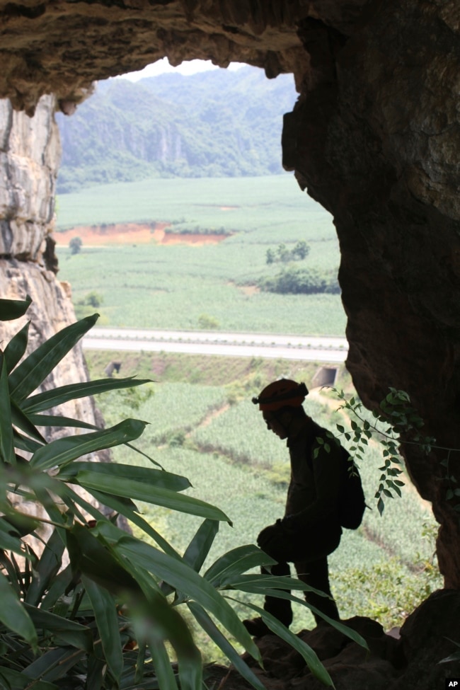 This photo provided by researchers shows an opening of a cave where Gigantopithcus blacki fossils were found, with a view across the alluvial plain, 150 meters (500 feet) above the valley floor, in the Guangxi region of southern China. (Kira Westaway/Macquarie University via AP)