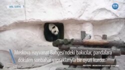 Pandalara “Sonbaharda Kurabiye Oyunu”