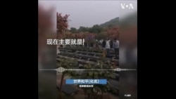 眼看就到清明了，张军还没去领父亲的骨灰