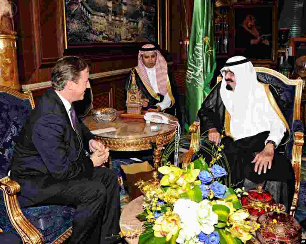 British Prime Minister David Cameron, left, meets with Saudi Arabia's King Abdullah, right, in Jiddah, Saudi Arabia, Tuesday, Nov. 6