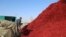 A worker works near a pile of chillies at a market in Jinxiang, Shandong province, China, Jan. 19, 2017. 