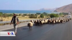 Bi Hatina Payîzê Rêwîtîya Rengîn ya Koçeran Destpê Dike