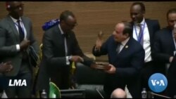 Kagame passe le témoin à Sissi