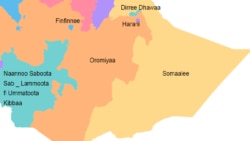 Hawaasi Oromoo fi Somaalee Itiyoophiyaa Minisootaatti Marii Geggeessan