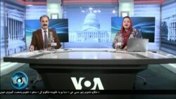 بي بي شیرینه – افغانستان کې د خوراکي امداد دپاره د بجټ کموالی