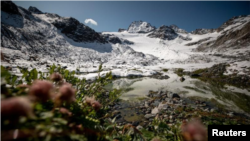 In this file photo, plants grow near a lake in front of Jamtalferner glacier near Galtuer, Austria, on September 11, 2019. (REUTERS/Lisi Niesner)