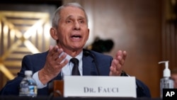 Top infectious disease expert Dr. Anthony Fauci responds to accusations by Sen. Rand Paul, R-Ky., as he testifies before the Senate Health, Education, Labor, and Pensions Committee, on Capitol Hill in Washington, Tuesday, July 20, 2021. Cases of…