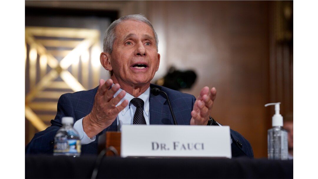 Dr. Anthony Fauci