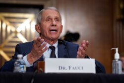 Dr. Anthony Fauci