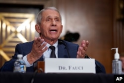 Dr. Anthony Fauci