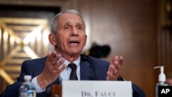 Penasihat kesehata dalam pemerintahan presiden Joe Biden, Dr. Anthony Fauci, tampak merespon pertanyaan dari salah satu anggota senat dalam sebuah rapat di Capitol Hill, Washington, pada 20 Juli, 2021. (Foto: AP/Scott Applewhite)