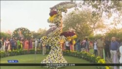 نمایشگاه سالانه گل در هند