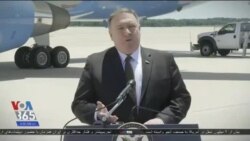 اخبار شامگاهی