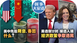 VOA卫视-时事大家谈：美中先后降息，各图什么？美选倒计时，候选人端经济政策争取选民