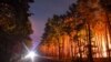 Wildfire Near Berlin Spreads Through Dry Forest