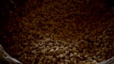 FILE —Arabica coffee beans harvested the previous year are stored at a coffee plantation in Ciudad Vieja, Guatemala, on May 22, 2014.