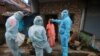 WHO Sees 'Green Shoots of Hope' Though Pandemic Still Rages