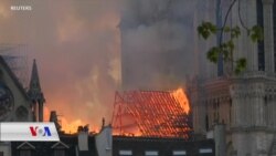 Çavdêrên Medya Civakî li Dû Nûçeyên Derew Digerin