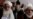 Afghan Elders Support Immediate Signing of US Security Deal