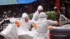 유엔 FAO "에볼라 확산지역 식량 안보 위협"