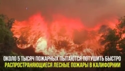 Лесные пожары на западе США