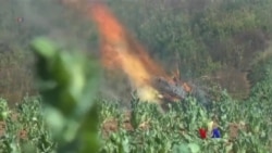 ရွှေတြိဂံဒေသ မူးယစ်တိုက်ဖျက်ရေး