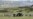 Qunu Celebrates Life of Its Favorite Son