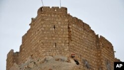 Seorang tentara Suriah memegang bendera nasional Suriah di depan benteng Palmyra (27/3). 