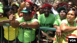 FILE: Zanu-PF supporters seen outside parliament.