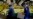 The Infodemic: Lemon Juice Won't Cure COVID-19